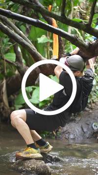 BIB:  <button type="button" onclick="openModal(27580941)" class="btn btn-primary btn-sm float-right" data-toggle="modal" data-target=".modal-high-quality">
                <i class="fa fa-download"></i> Download
                </button>